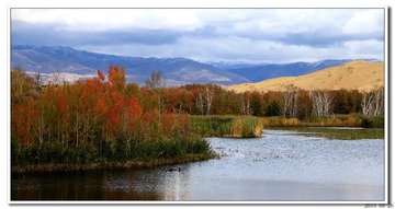 IMG_1880_