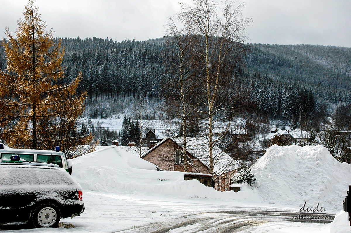 德国黑森林雪景