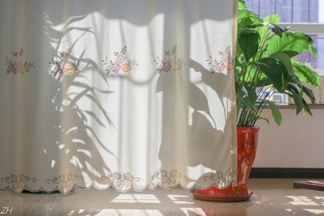 IMG_0867-1