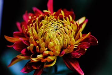 E7949DC1-292D-47D8-8D19-4E75CE2D74BE/L0/001