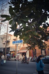 TEN_0978