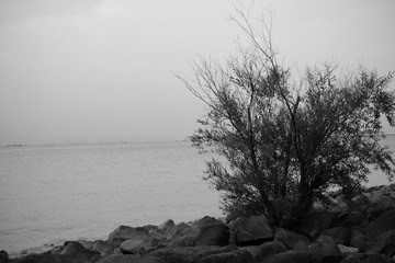 581659CB-808B-4F81-A3AA-81927DE8D814/L0/001