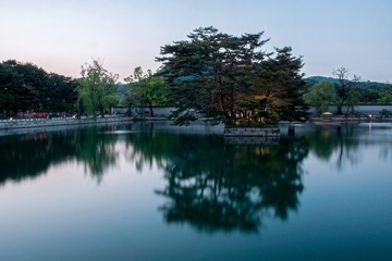 DSC_0207副