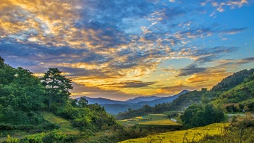 DSC_0274-01