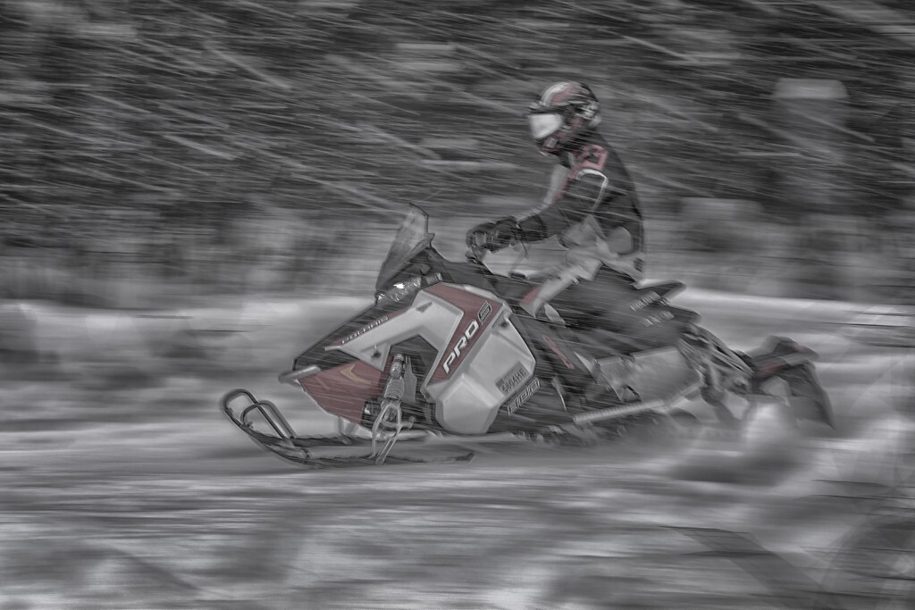 Nikon D810<br />
70-200mm at 70mm<br />
f9  1/25 ISO 80<br />
Feb 04 2017