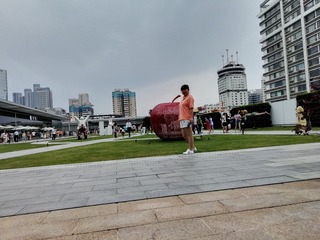 316006