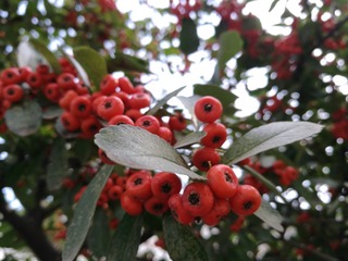 IMG_20191107_122158
