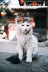 DSCF2812