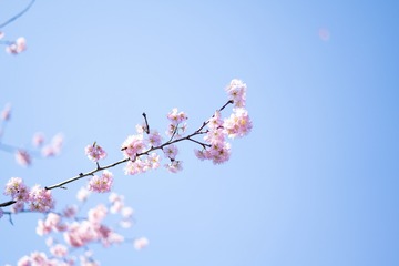 93F6DC0C-504D-4409-864A-B51228017DEE/L0/001