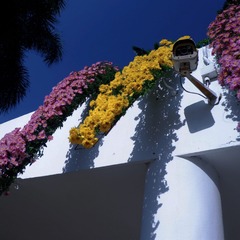 2BD1DE2D-3359-4D02-BBD3-A1140C215800/L0/001