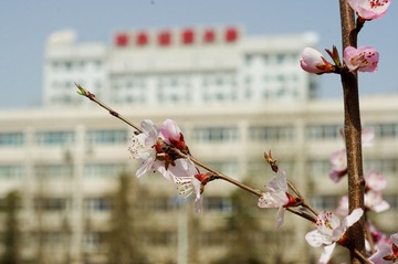 IMGP8605.jpg