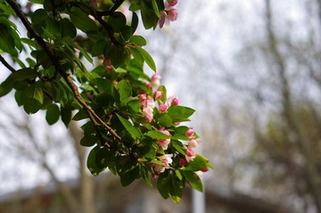 IMGP8892.jpg
