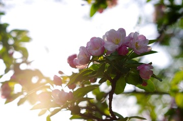 IMGP8910.jpg