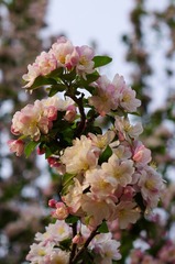 IMGP8921.jpg