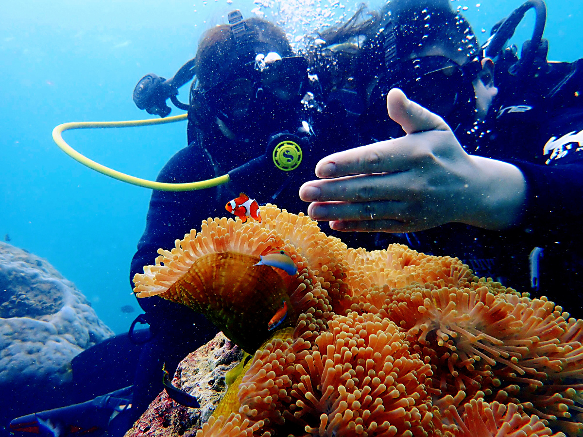 我想和你一起潜入海底