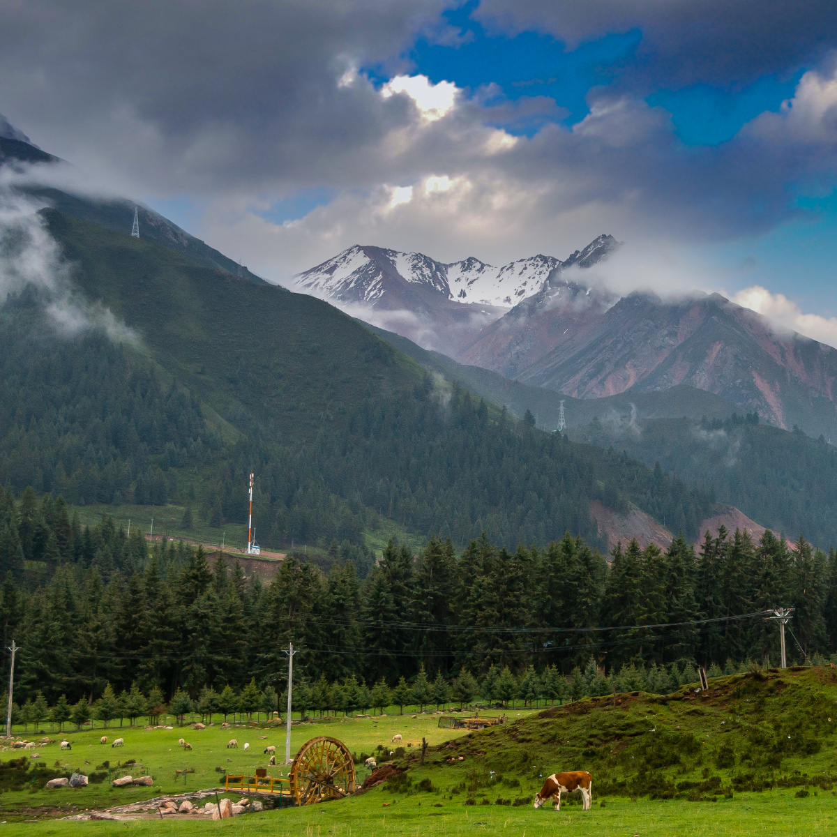 祁连山下的"小瑞士"——冰沟林海 - opingpingo - 图虫