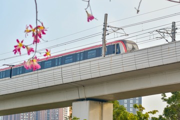 956021