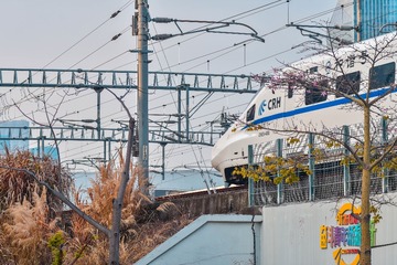 956028