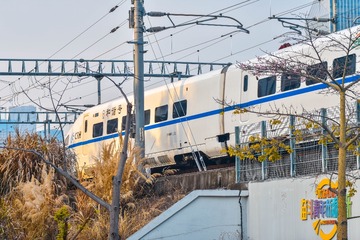 956029
