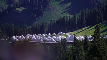 1895956