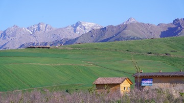 1895981