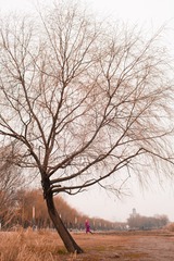 22279EF6-9ADD-4689-BC21-E104C95182A7/L0/001