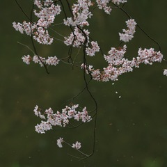29C98F68-787C-4DE7-A8D4-4E9D4828F738/L0/001