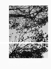 1D6242E8-A3FC-493D-AF6D-FF39708267E6/L0/001