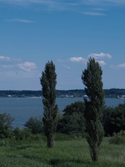 6C427DAE-EFDD-4E26-97D4-5491A8441BFD/L0/001