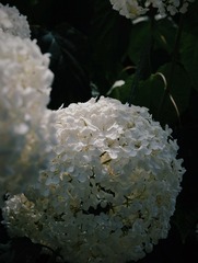 A0953E0B-B2E8-4E33-947B-ACB91EB631EB/L0/001