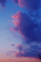 1871751
