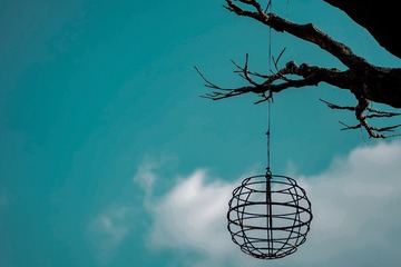 F0625DB0-B989-4A6A-B520-5B9699CC9056/L0/001