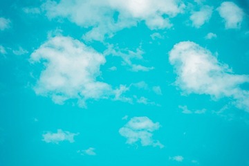 397DB30B-18CB-4FDC-9404-89C09F954232/L0/001