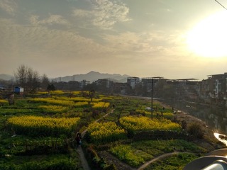 288517
