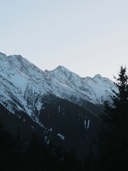 1000362144
