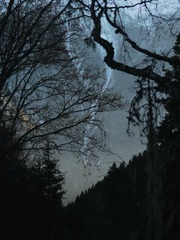 1000362141