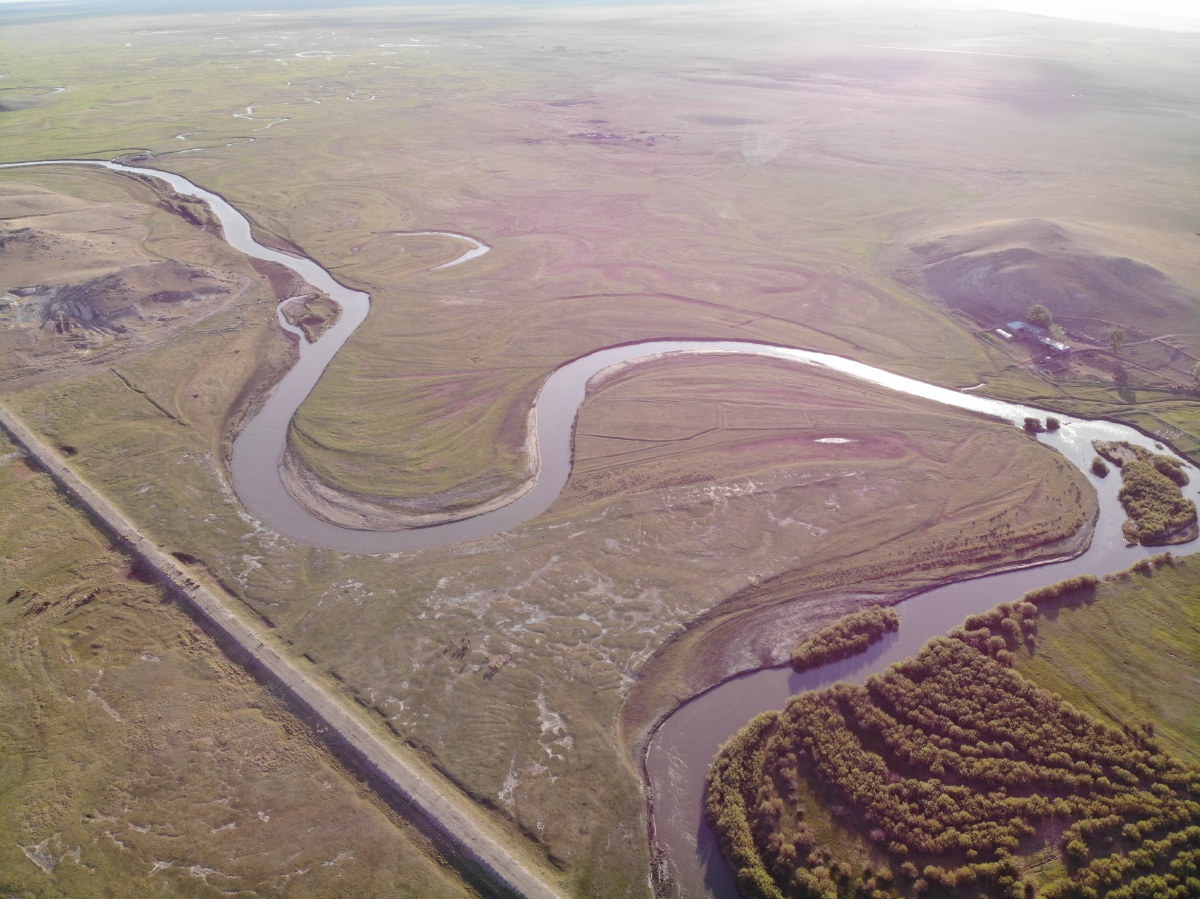 西旗最靓的崽,留念.