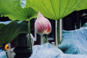 95D73971-4DB4-4DC9-A0FE-EEB7B0C0DBCE/L0/001