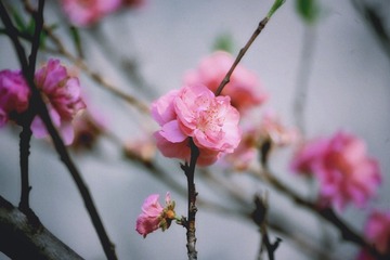 F540F874-0EFB-4584-AA5D-6436F916D3EC/L0/001