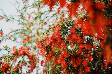 0003BDDE-D74D-4842-A13F-152FC4457F2E/L0/001