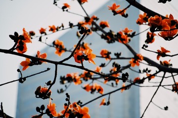 DC075291-2D36-4B68-9810-B605079F9B76/L0/001