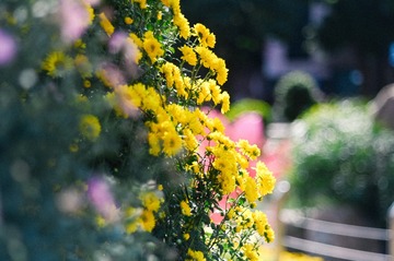 Optional("B7C55B79-CE15-4BEE-A299-7D27DCD4F12F/L0/001")