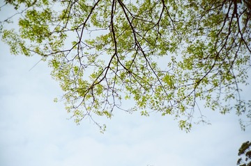 09D74161-7333-4A6B-95DA-8B407C351028/L0/001