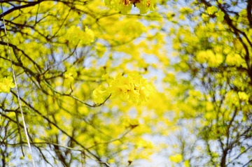 5E65704F-A816-4348-904F-2C3B04A7F03C/L0/001