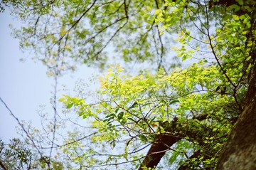 DF4C7D06-E085-407A-98F8-49FE23730C2A/L0/001