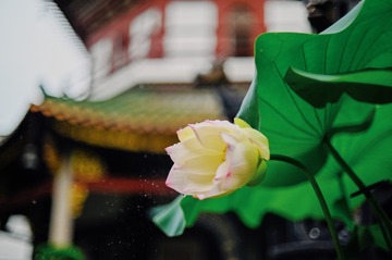 D9531CB2-D2BE-4CF1-82DF-B25C539FCBB6/L0/001