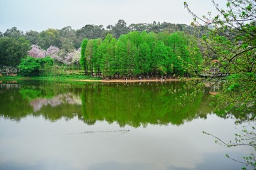A032DE04-A7AE-485B-A5F2-6F634A6E0CF7/L0/001