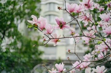 AE7E765A-B1F6-4CBF-A045-06742BF1B03A/L0/001