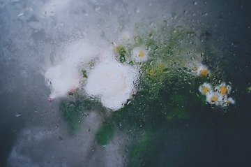 15EA76D1-3AF8-4A0F-A502-EE221475CAF8/L0/001