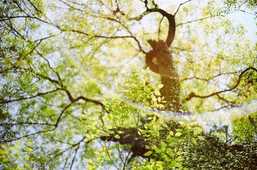 4BAFEEBC-DC02-4DEE-995E-7AB5F5228380/L0/001